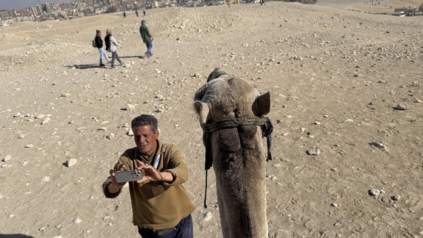 ギザらくだのり